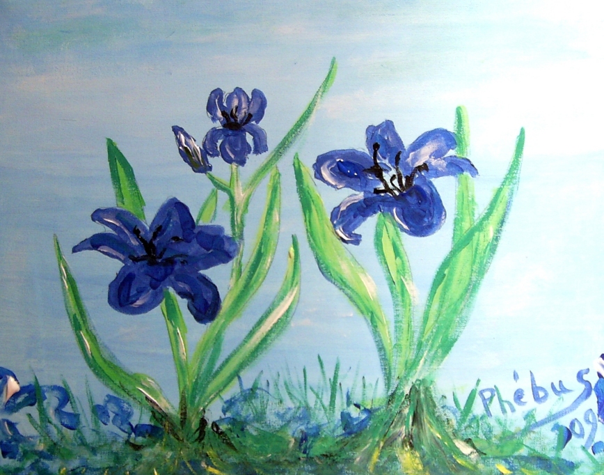 Irises